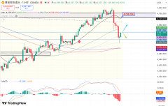<b>目前价钱正在4600一线企稳反弹</b>